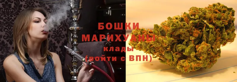 Каннабис OG Kush  Сурск 